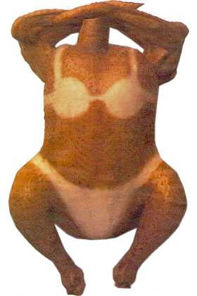 krocan