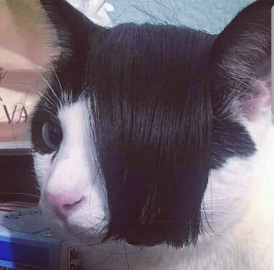 Kocka