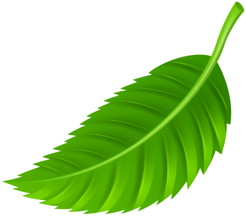 list