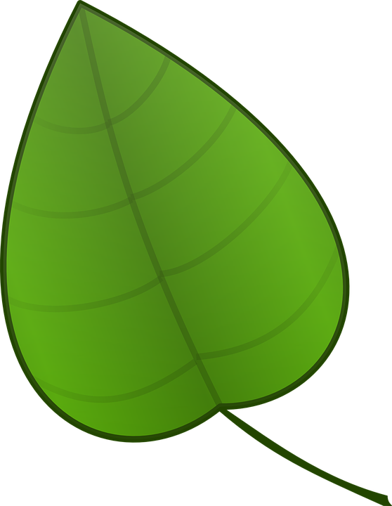 list