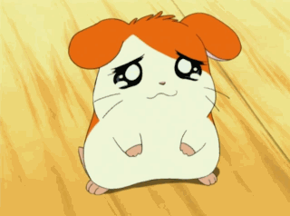 animac